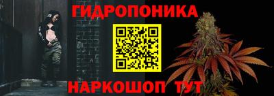 эйфоретик Гусиноозёрск